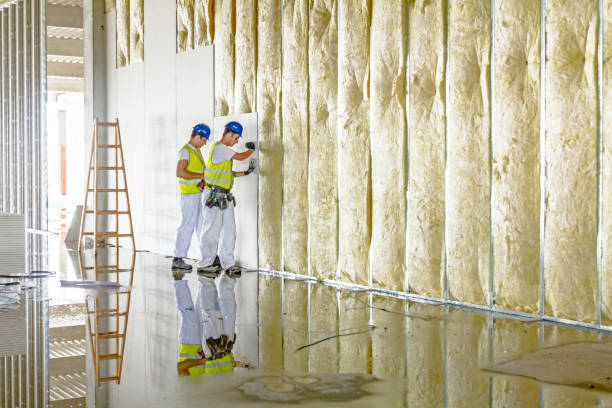 Best Insulation Installation Services in Terra Alta, WV